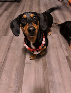 Strawberry Shortcake Bead Collar