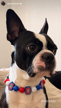 Load image into Gallery viewer, 🏒 Montreal Canadiens NHL Inspired Bead Collar