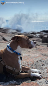 Blue Ombre Silicone Bead Collar