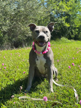 Load image into Gallery viewer, Pink Glitter Supernova Bead Collar