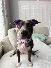 Load image into Gallery viewer, Purple Daisies Glam 🌼 Silicone Bead Collar