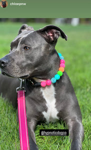 Tropical Punch Bead Collar