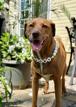 Load image into Gallery viewer, PERSONALIZED White Matte &amp; Gold Stars ⭐️ Bead Collar