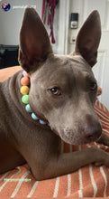 Load image into Gallery viewer, Pastel Rainbow Acrylic Bead Collar