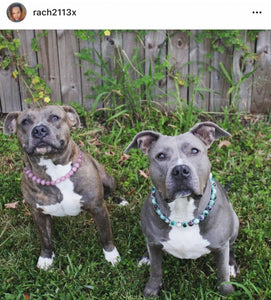 Mint Abstract Ceramic Bead Collar