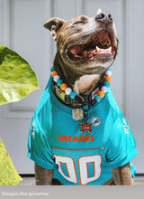 Load image into Gallery viewer, Miami Dolphins 🐬 NFL Inspired 🏈 Bead Collar