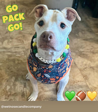 Load image into Gallery viewer, 🏈 Football Team Colors Bead Collar