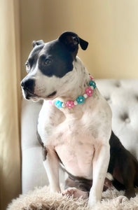 🌼 Pink & Blue Glow Daisies 🌼 Silicone Bead Collar