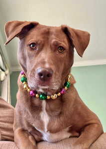 Mardi Gras ✨ Bead Collar