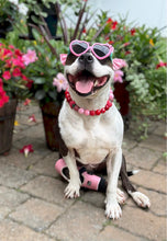 Load image into Gallery viewer, Strawberry Shortcake Bead Collar
