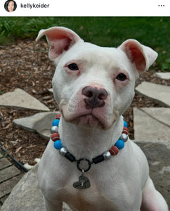 🏈 Football Team Colors Bead Collar