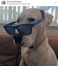 Load image into Gallery viewer, Mango Stripes Bead Collar