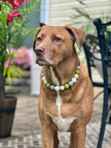 Green Tea Bead Collar