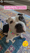 Load image into Gallery viewer, Neon Candyland Bead Collar
