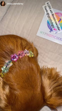 Load image into Gallery viewer, Rainbow Flowers MINI Acrylic [Small Dog/Cat Bead Collar]
