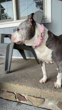 Load image into Gallery viewer, Pink Ghost Glam Bead Collar