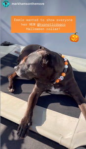 Boo 👻 Halloween Glow Bead Collar