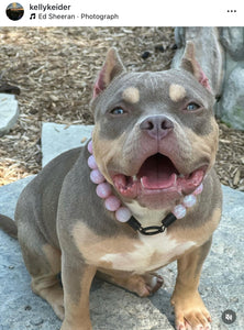 Pink Glitter ✨ Resin Bead Collar