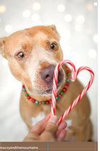 Load image into Gallery viewer, Mistletoe Glam MINI Glam Collar [Small Dog/Cat Bead Collar]