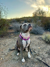 Load image into Gallery viewer, Raspberry Cocoa Resin Bead Collar