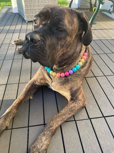 Boho Rainbow Acrylic Bead Collar