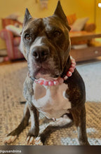 Load image into Gallery viewer, Pink Christmas Lights ✨ Bead Collar