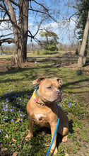 Load image into Gallery viewer, Citrus Sunrise Bead Collar
