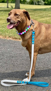 Turquoise & White Biothane Leash ◻️