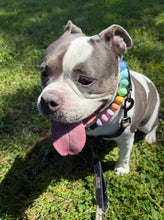 Load image into Gallery viewer, Pastel Rainbow Acrylic Bead Collar