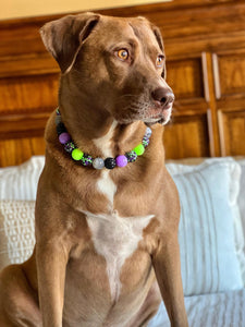 Midnight Cauldron Halloween Glow Bead Collar