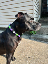 Load image into Gallery viewer, Midnight Cauldron Halloween Glow Bead Collar