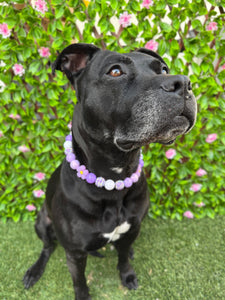 Purple Daisies Glam 🌼 Silicone Bead Collar