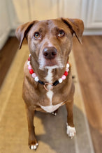 Load image into Gallery viewer, Be My Valentine Bead Collar