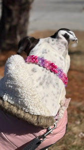 Mini Raspberry Sugar Duplo Acrylic Bead Collar