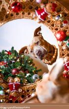 Load image into Gallery viewer, Gingerbread Mocha Glam Bead Collar