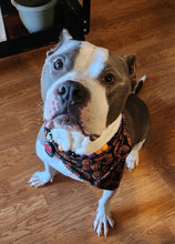 Load image into Gallery viewer, Witching Hour Halloween Bead Collar