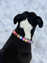 Load image into Gallery viewer, Rainbow Glitz 🌈 Bead Collar