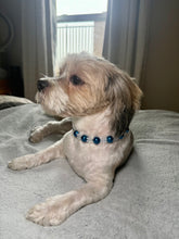 Load image into Gallery viewer, Midnight Snowfall MINI Glam Collar [Small Dog/Cat Bead Collar]