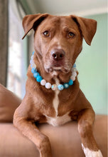 Load image into Gallery viewer, Bluebell Bead Collar
