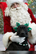 Load image into Gallery viewer, Luck of the Irish Bead Collar