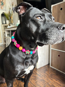 Retro Groovy 🌼 Bead Collar