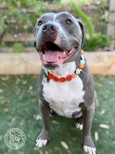 Load image into Gallery viewer, PERSONALIZED Orange Boo 👻 Bead Collar