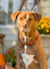 Load image into Gallery viewer, Cognac 🥃 Bead Collar