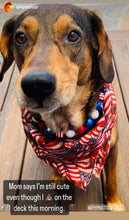 Load image into Gallery viewer, Americana Glam Bead Collar