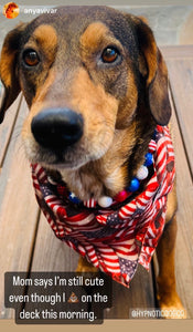 Americana Glam Bead Collar