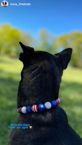 Americana Glam Bead Collar