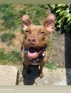 Americana Glam Bead Collar