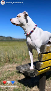 Americana Glam Bead Collar