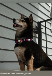 Americana Glam Bead Collar