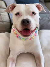 Load image into Gallery viewer, 🟧 18.5&quot; Slip On (Black O-Ring) 🦋 Y2K Butterfly Bead Collar - PRE-MADE/FINAL SALE